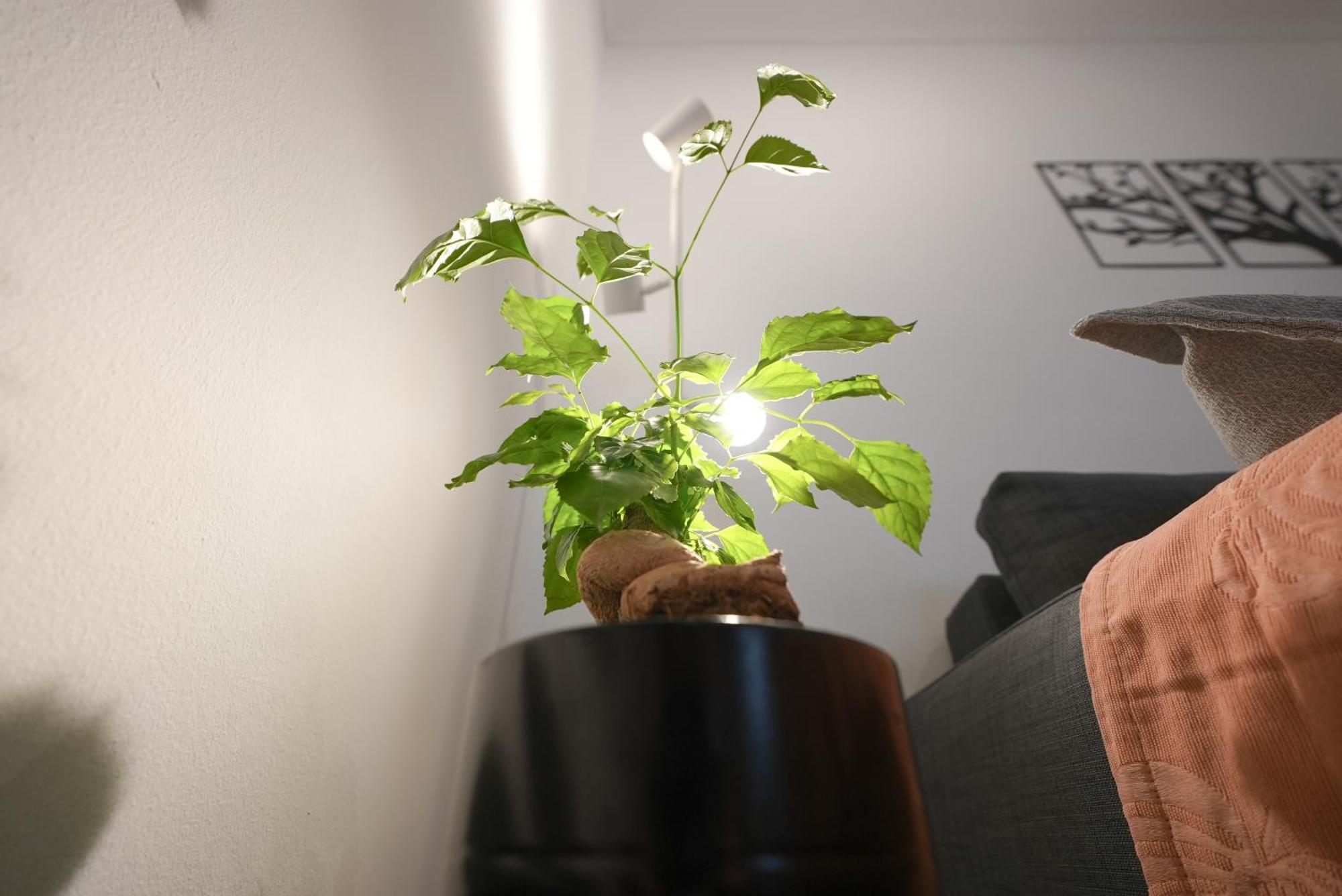Syntagma Square, 50Sqm Nikis Luxurious Apartment Atenas Exterior foto